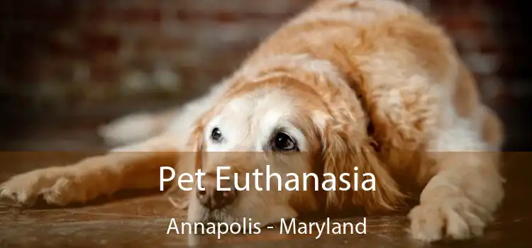 Pet Euthanasia Annapolis - Maryland