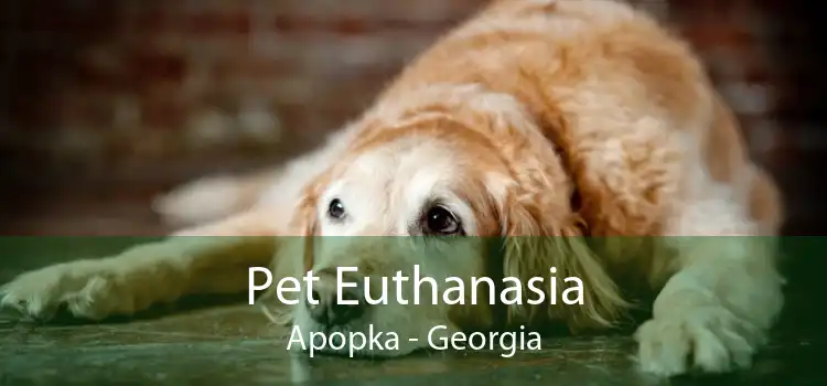 Pet Euthanasia Apopka - Georgia