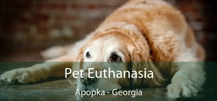 Pet Euthanasia Apopka - Georgia