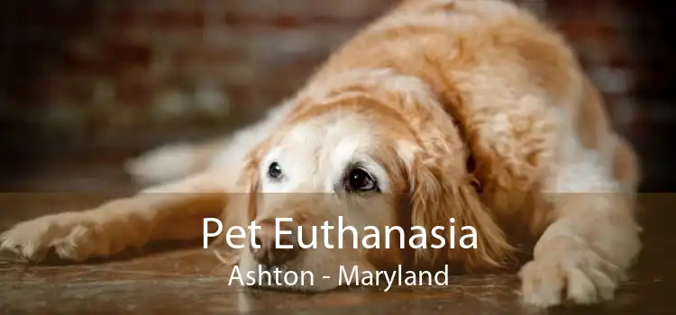 Pet Euthanasia Ashton - Maryland