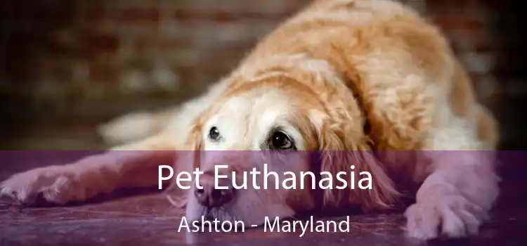 Pet Euthanasia Ashton - Maryland