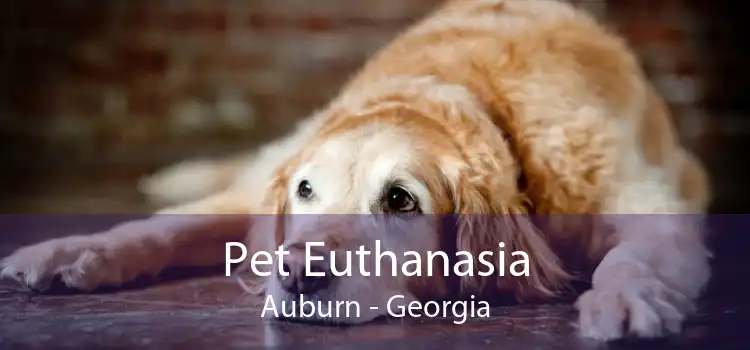Pet Euthanasia Auburn - Georgia