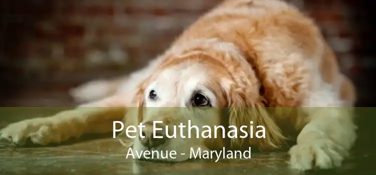 Pet Euthanasia Avenue - Maryland