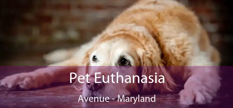 Pet Euthanasia Avenue - Maryland