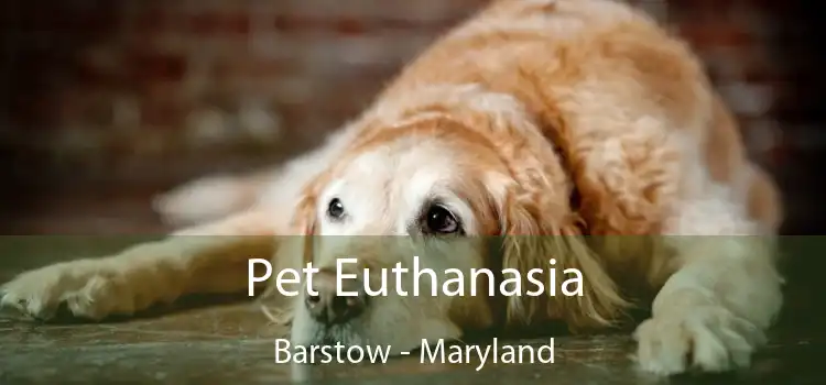 Pet Euthanasia Barstow - Maryland