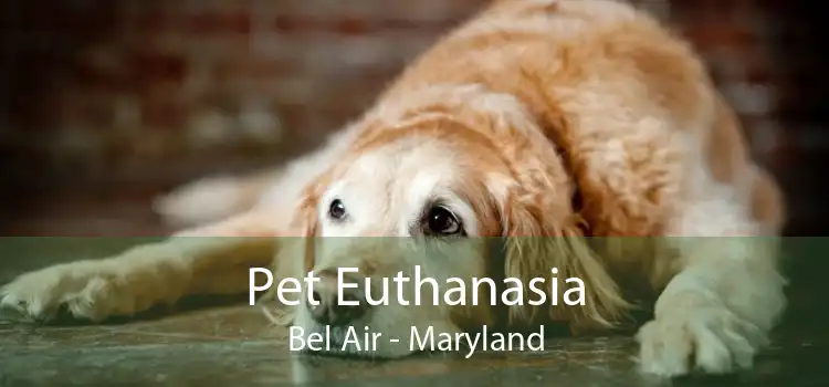 Pet Euthanasia Bel Air - Maryland