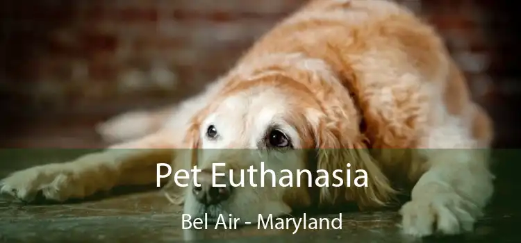 Pet Euthanasia Bel Air - Maryland