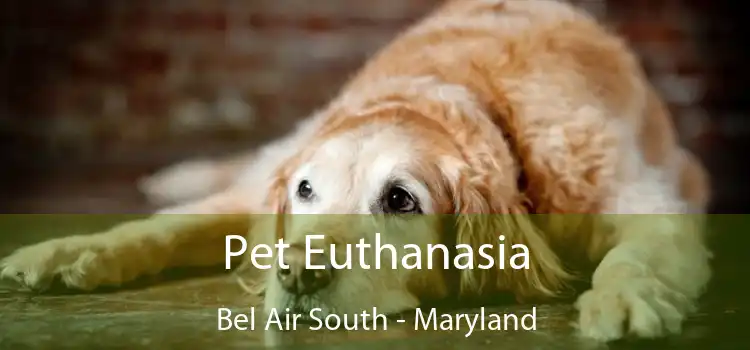 Pet Euthanasia Bel Air South - Maryland