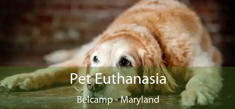 Pet Euthanasia Belcamp - Maryland