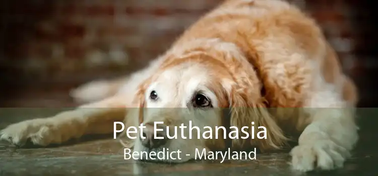 Pet Euthanasia Benedict - Maryland