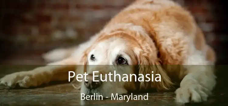 Pet Euthanasia Berlin - Maryland