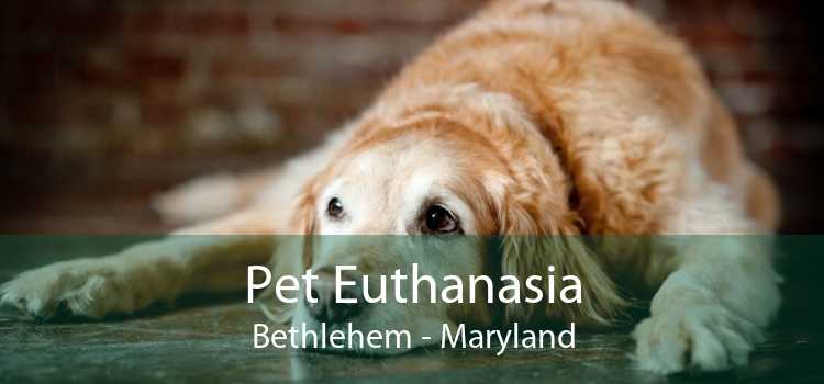 Pet Euthanasia Bethlehem - Maryland