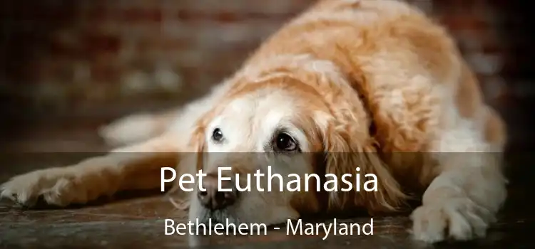 Pet Euthanasia Bethlehem - Maryland