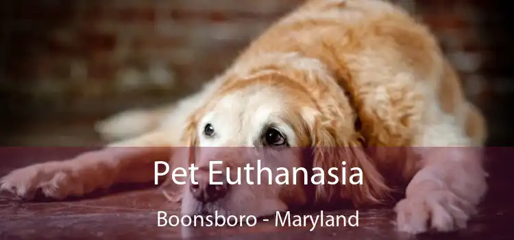 Pet Euthanasia Boonsboro - Maryland