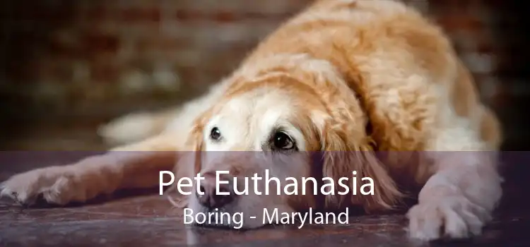 Pet Euthanasia Boring - Maryland