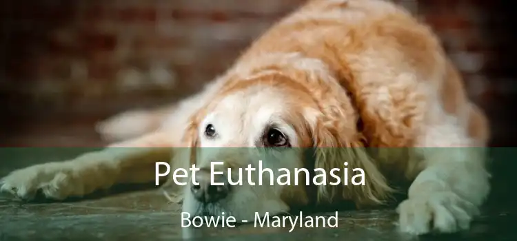 Pet Euthanasia Bowie - Maryland