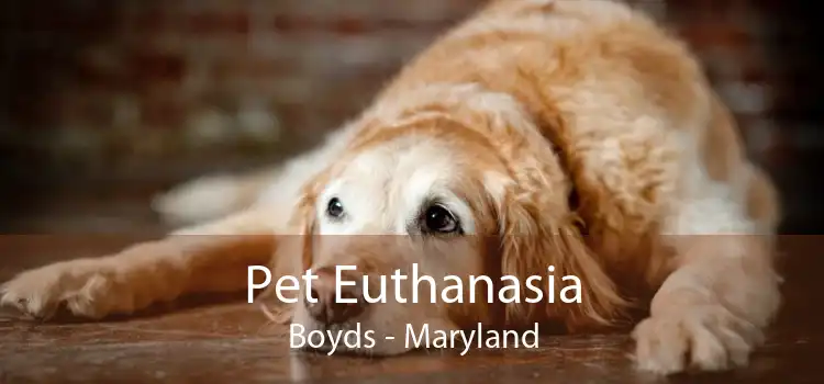Pet Euthanasia Boyds - Maryland