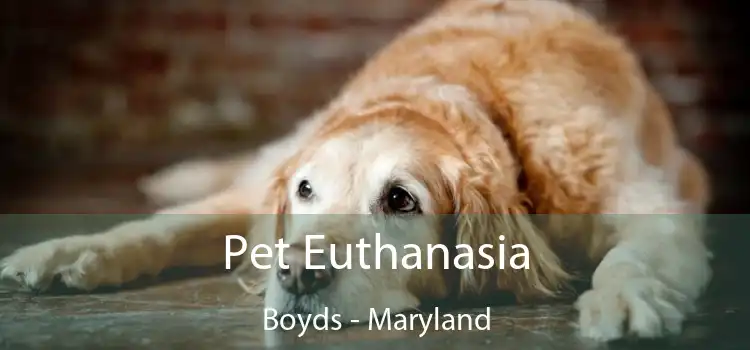 Pet Euthanasia Boyds - Maryland