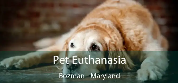 Pet Euthanasia Bozman - Maryland