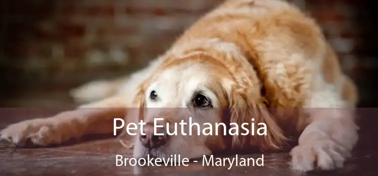 Pet Euthanasia Brookeville - Maryland