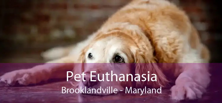 Pet Euthanasia Brooklandville - Maryland