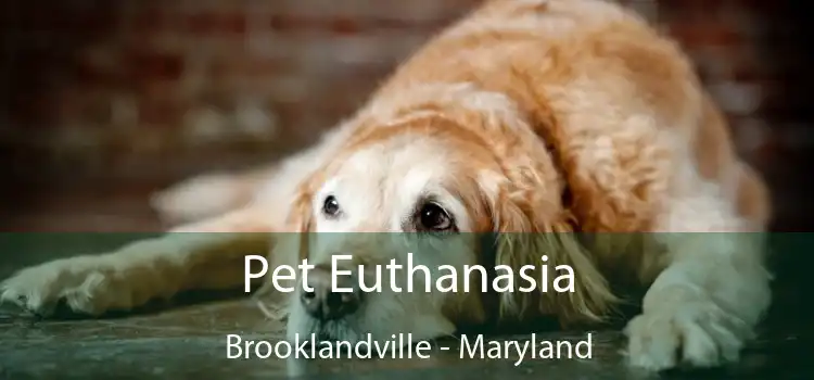 Pet Euthanasia Brooklandville - Maryland