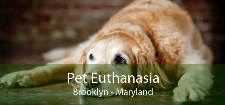 Pet Euthanasia Brooklyn - Maryland