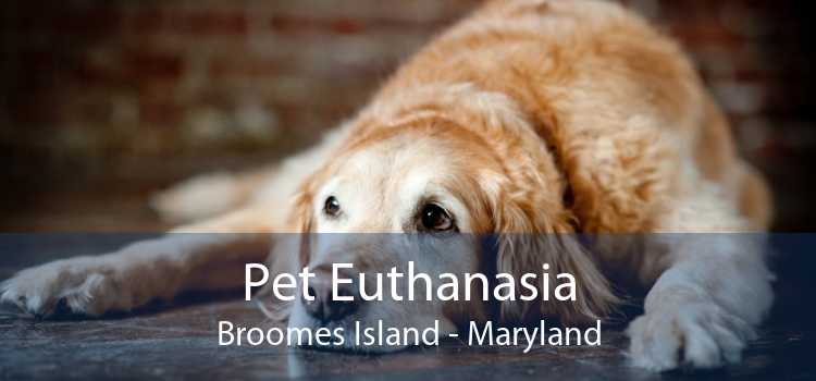 Pet Euthanasia Broomes Island - Maryland