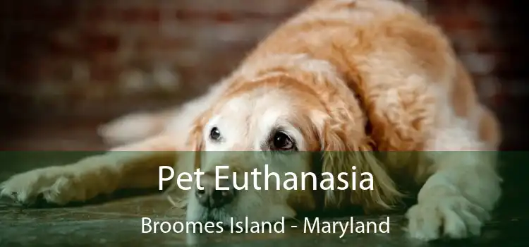 Pet Euthanasia Broomes Island - Maryland