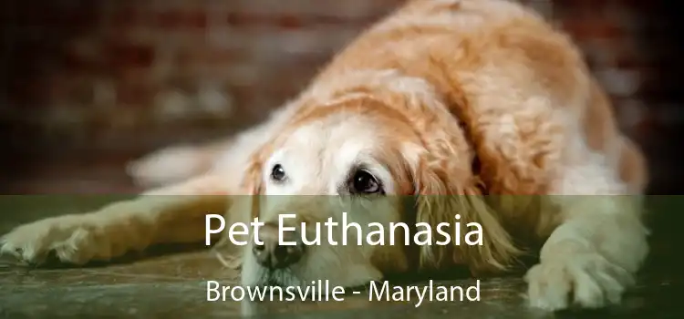 Pet Euthanasia Brownsville - Maryland