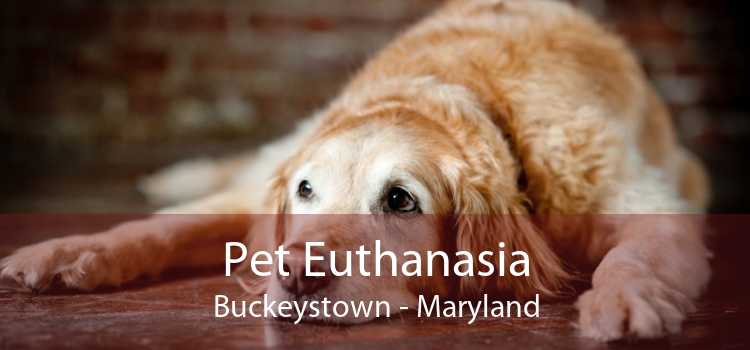 Pet Euthanasia Buckeystown - Maryland