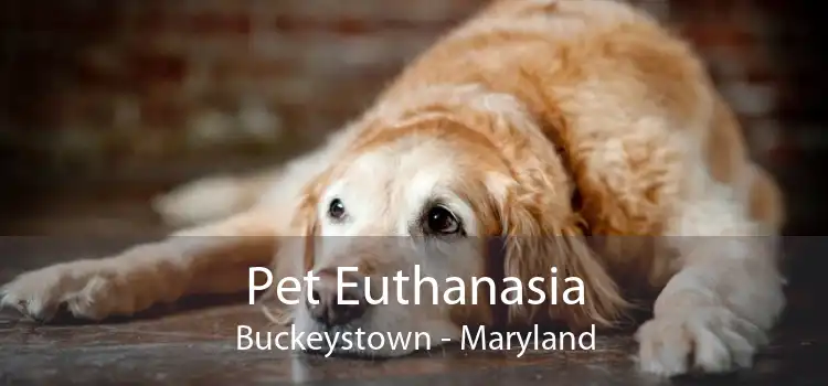 Pet Euthanasia Buckeystown - Maryland