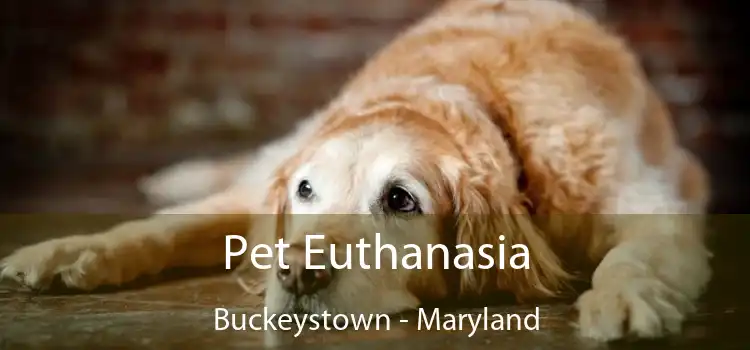 Pet Euthanasia Buckeystown - Maryland