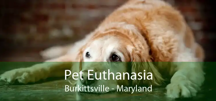 Pet Euthanasia Burkittsville - Maryland