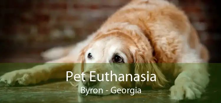 Pet Euthanasia Byron - Georgia