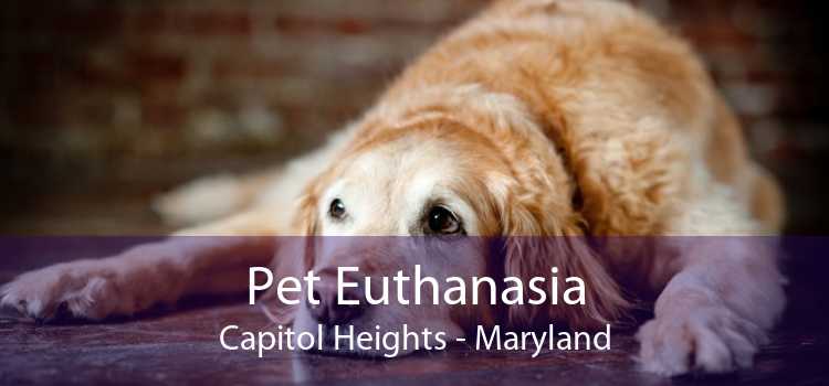 Pet Euthanasia Capitol Heights - Maryland