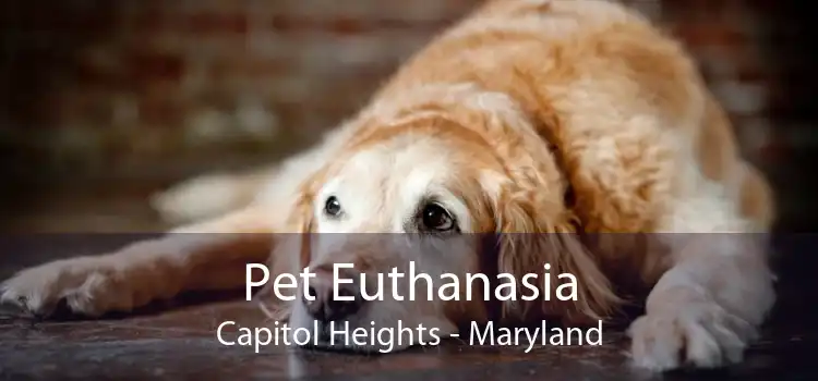 Pet Euthanasia Capitol Heights - Maryland