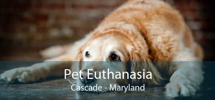 Pet Euthanasia Cascade - Maryland