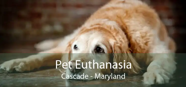 Pet Euthanasia Cascade - Maryland