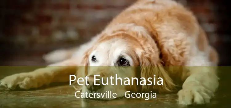 Pet Euthanasia Catersville - Georgia