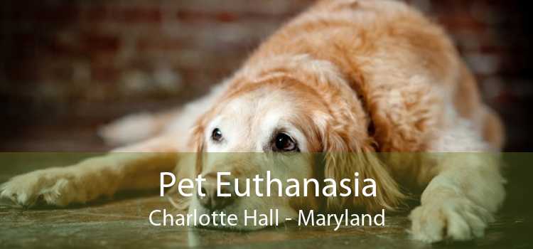 Pet Euthanasia Charlotte Hall - Maryland