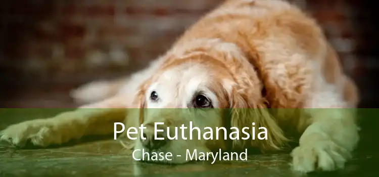 Pet Euthanasia Chase - Maryland