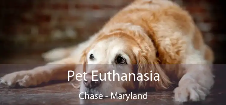 Pet Euthanasia Chase - Maryland