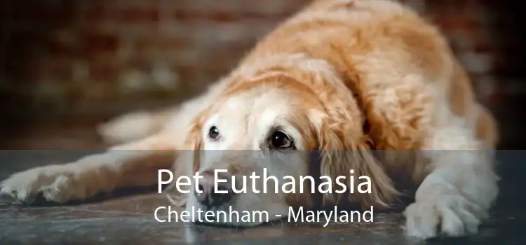 Pet Euthanasia Cheltenham - Maryland