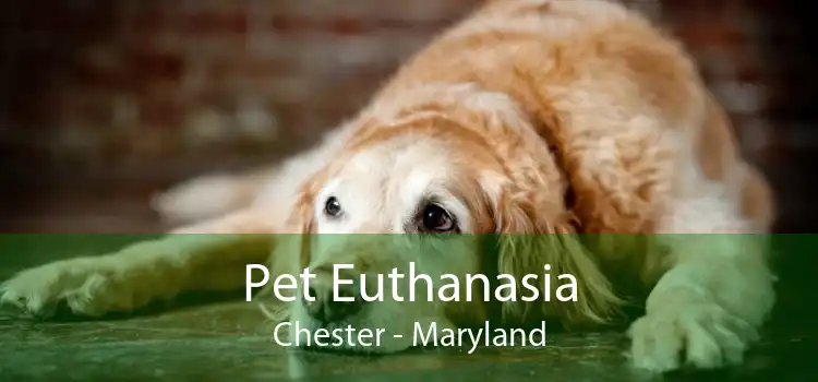 Pet Euthanasia Chester - Maryland
