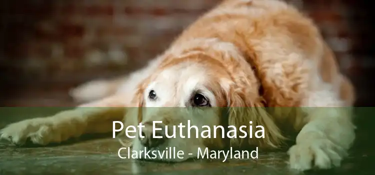 Pet Euthanasia Clarksville - Maryland
