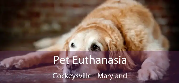 Pet Euthanasia Cockeysville - Maryland