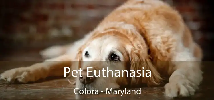 Pet Euthanasia Colora - Maryland