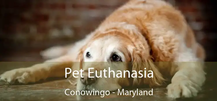 Pet Euthanasia Conowingo - Maryland