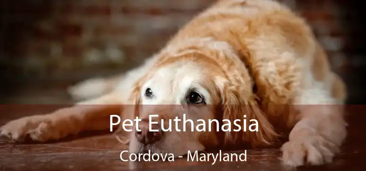 Pet Euthanasia Cordova - Maryland